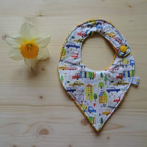 Sorbet-citron-Bavoir-naissance